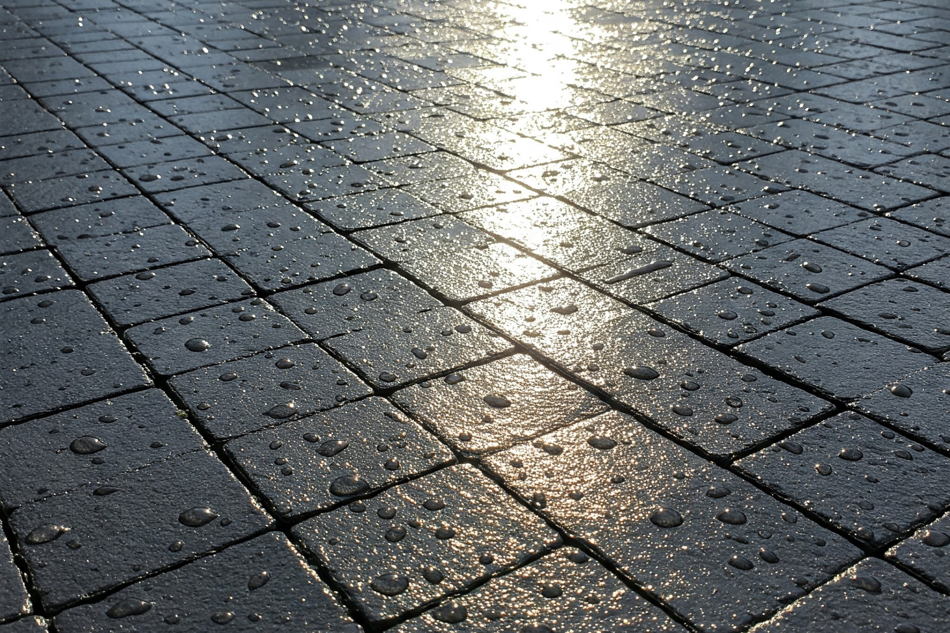 Paver Maintenance
