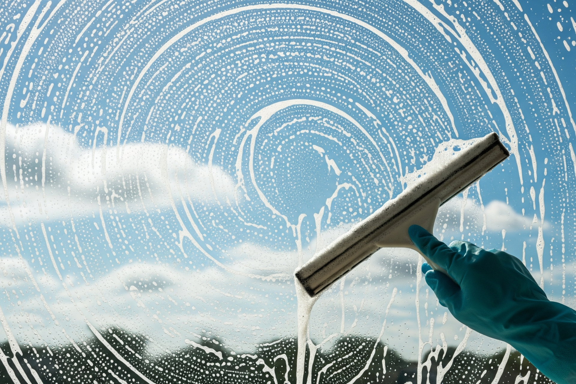 Window Cleaning Service