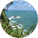 Chris Francis profile picture